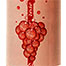 Bezerics Rosé 2016 / 2017 Bezerics Rosé 2016 / 2017